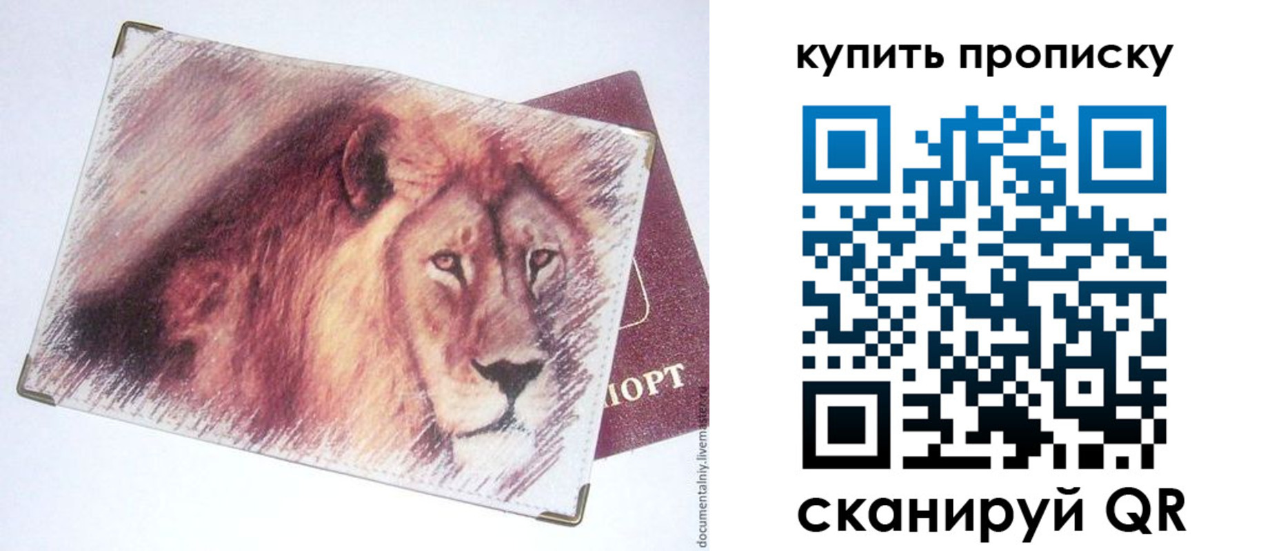 прописка паспорт в Козьмодемьянске